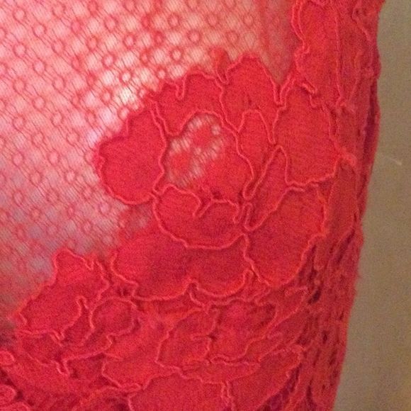 Monique Lhuillier Sleeveless Floral Lace Sheath - Picture 3 of 11
